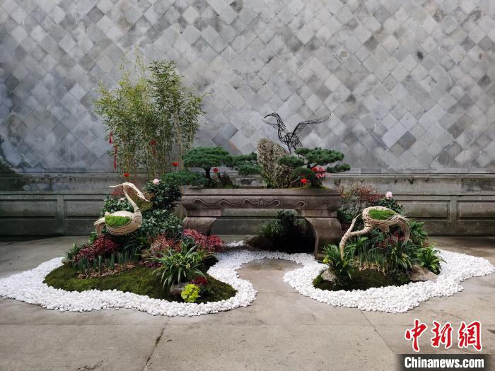 图为2020年胡雪岩故居耐阴植物新春展。西湖景区凤凰山管理处供图 图为2020年胡雪岩故居耐阴植物新春展。西湖景区凤凰山管理处供图