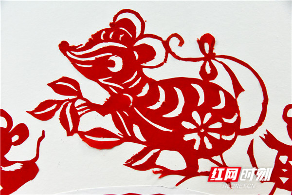 湘遇非遗·年味特辑丨一把剪刀传承非遗技艺 百鼠迎新叩响新年大门