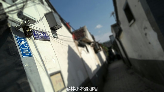 摄影：@林小木爱照相