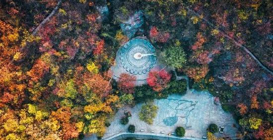 阿陆PHOTO摄