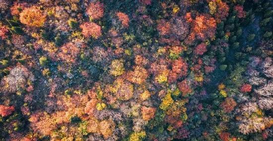 阿陆PHOTO摄