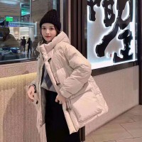新款 时尚 牛角扣 原版面料 羽绒服 5件起批 168元/件