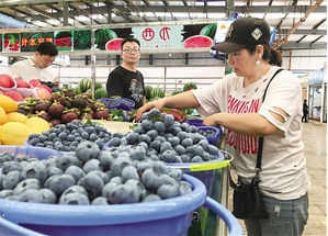 改造后的凤麓市场划分了专门的水果区