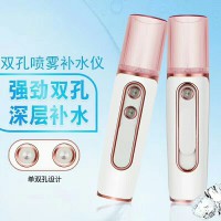 双孔 纳米喷雾补水仪 48元