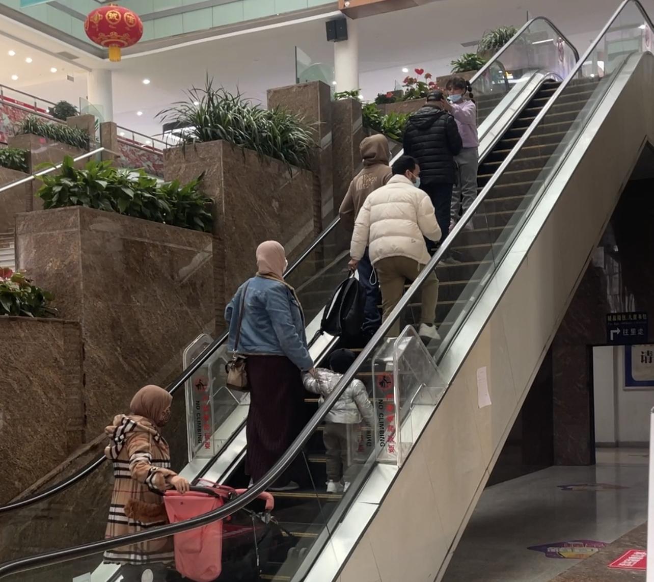 新京报记者李阳 摄